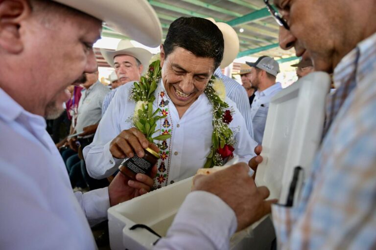 INVIERTE PRIMAVERA OAXAQUEÑA 79 MDP PARA TRANSFORMAR EL CAMPO EN LA CUENCA DEL PAPALOAPAN