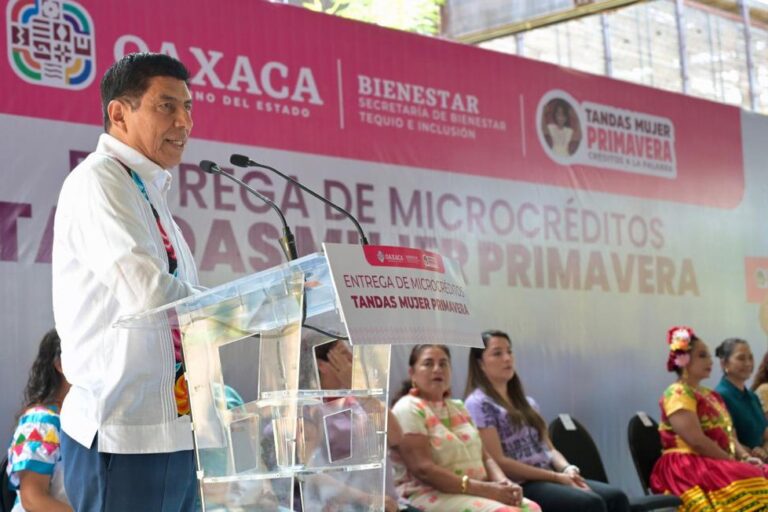 RESPALDA GOBIERNO DEL ESTADO A TRABAJADORAS POR CUENTA PROPIA CON TANDAS MUJER PRIMAVERA