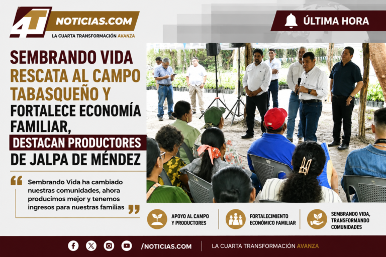 Sembrando Vida rescata al campo tabasqueño y fortalece economía familiar, destacan productores de Jalpa de Méndez