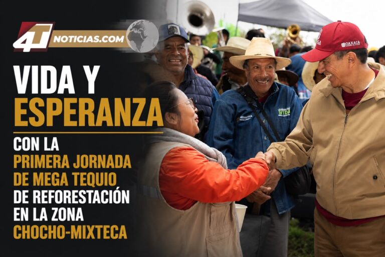 VIDA Y ESPERANZA CON LA PRIMERA JORNADA DE MEGA TEQUIO DE REFORESTACIÓN EN LA ZONA CHOCHO-MIXTECA