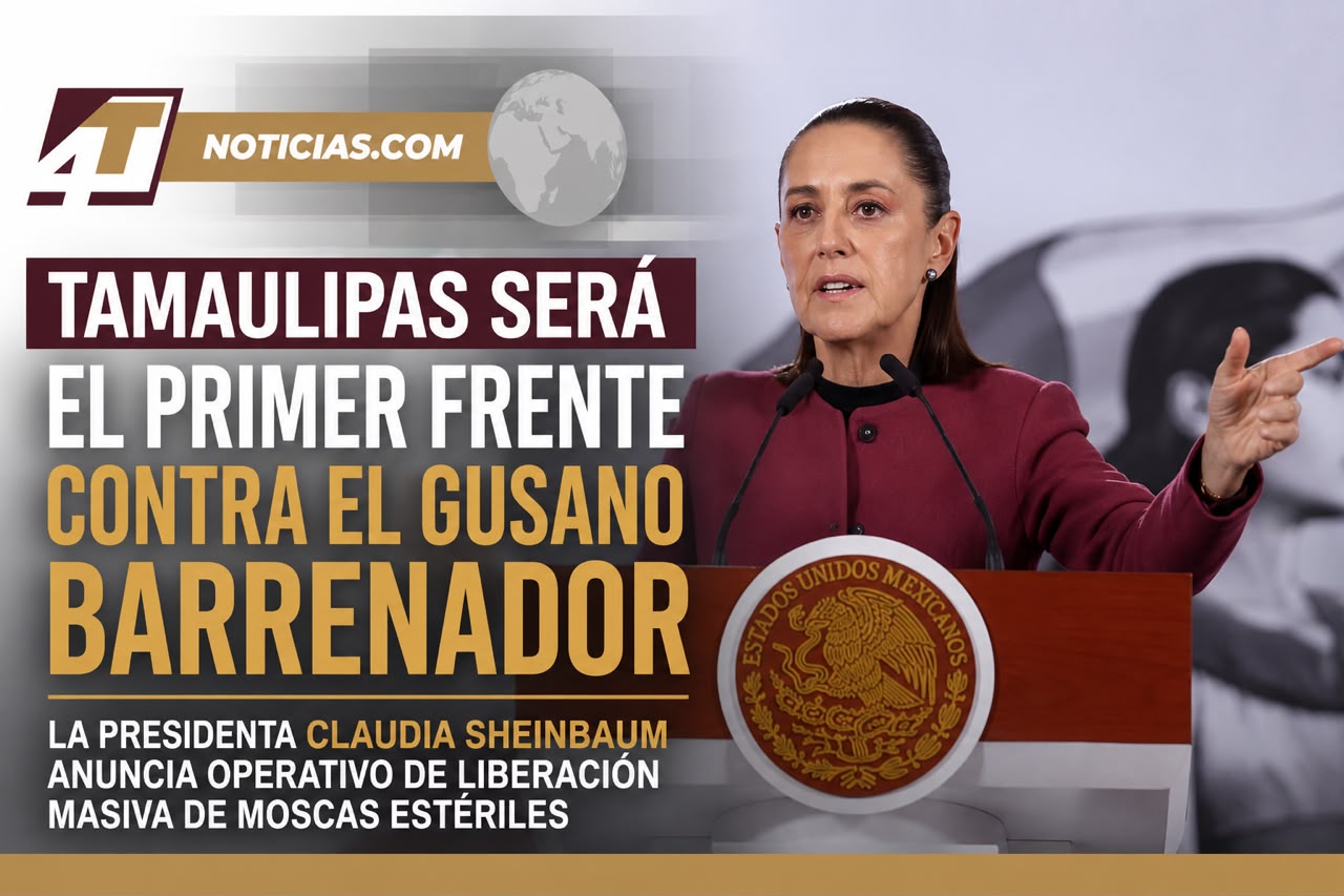Tamaulipas será el primer frente contra el gusano barrenador; la Presidenta Claudia Sheinbaum anuncia operativo de liberación masiva de moscas estériles