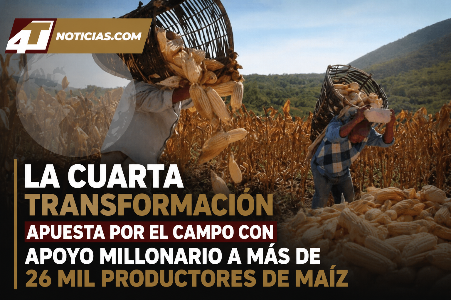 La Cuarta Transformación apuesta por el campo con apoyo millonario a más de 26 mil productores de maíz
