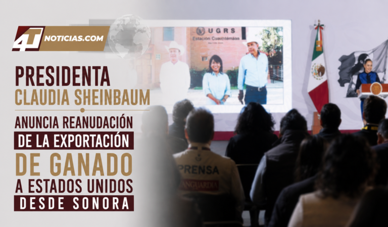Presidenta Claudia Sheinbaum anuncia reanudación de la exportación de ganado a Estados Unidos desde Sonora