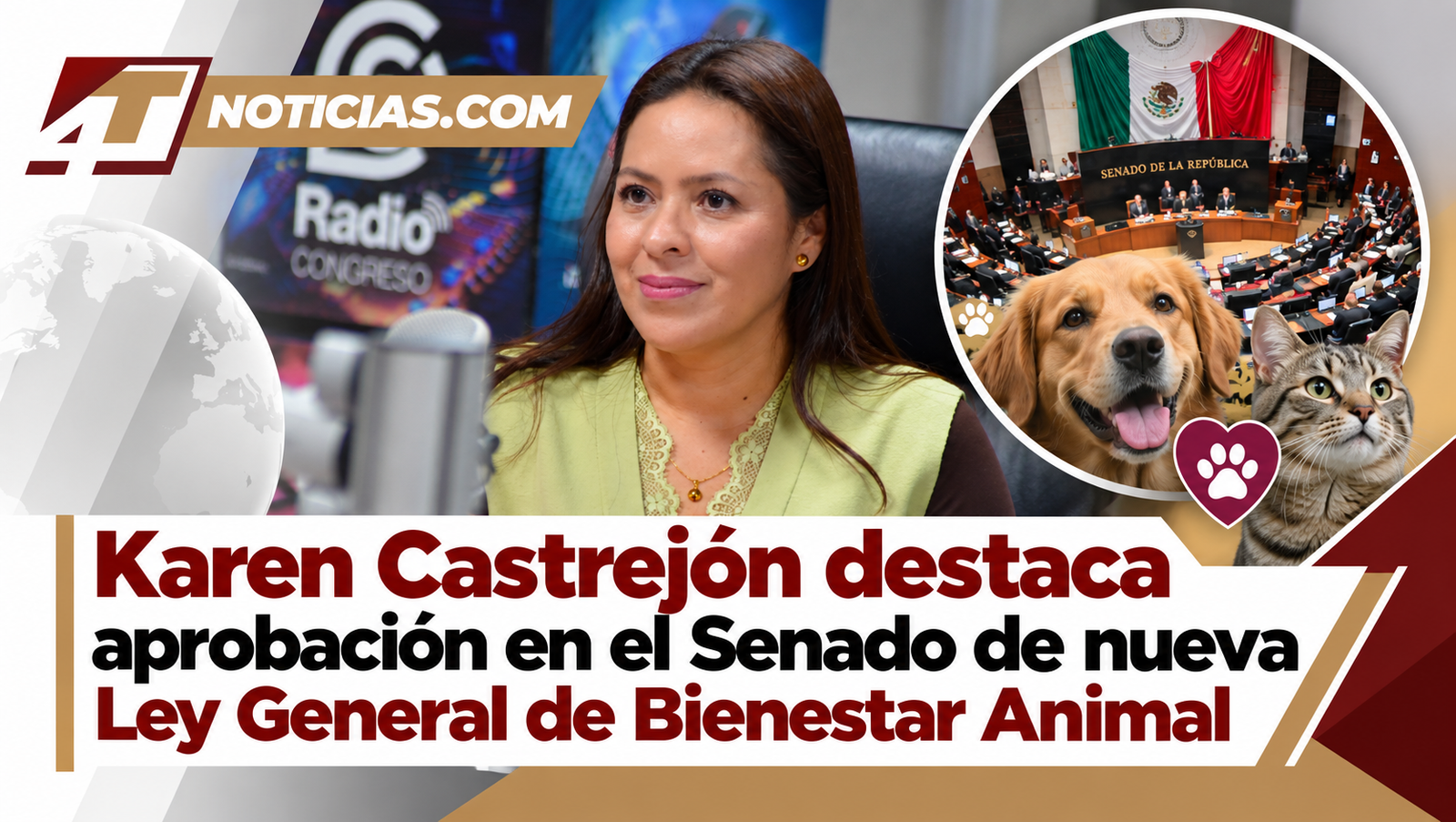 Karen Castrejón destaca aprobación en el Senado de nueva Ley General de Bienestar Animal